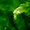 Profile Picture of Eric Vo (@EricVo1) on Flickr