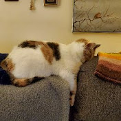 Profile Picture of Richard Heath (@richardheath3159) on Youtube