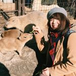 Profile Picture of keiko honda (@kei_camp) on Instagram