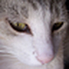 Profile Picture of Victor D Lecona Uribe (@mow7222) on Flickr