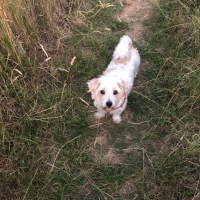 Profile Picture of Nicola Perry (@NHPerry) on Twitter