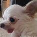 Profile Picture of Myrna Fleming (@myrna.fleming.7545) on Facebook