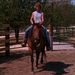Profile Picture of Paula Hanes (@repete134) on Pinterest