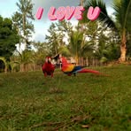 Profile Picture of Mirza Lacoth (@Mirza-Lacoth) on Facebook