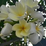 Profile Picture of Linh Quyên Tăng (@qvt7523) on Instagram