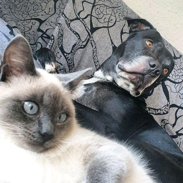 Profile Picture of Lucia Rispoli (@luciarispoli2) on Tiktok