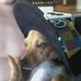 Profile Picture of Pete Stovall (@pete.stovall.1) on Facebook