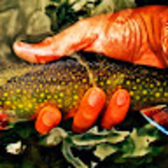 Profile Picture of John Peakes (@jepeakes3) on Poshmark