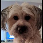 Profile Picture of Matthew Berard (@matty_pkb) on Instagram