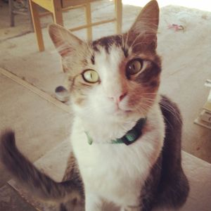 Profile Picture of Rosa Bravo (@smartpinkies) on Myspace