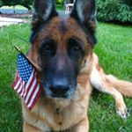 Profile Picture of Skylar Smith (@trudelakedoggo) on Instagram