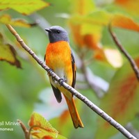 Profile Picture of Clyde Chung Chin-pang (鍾展鵬) (@clyde-chung-chin-pang-鍾展鵬) on Quora