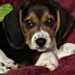 Profile Picture of Sherry Feldner (@sherry.feldner.5) on Facebook