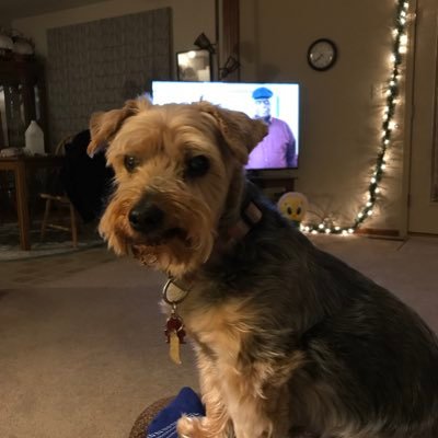 Profile Picture of Pam Decker (@PamDeck68364844) on Twitter
