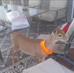 Profile Picture of Jeremiah Marks (@miah.marks.81) on Facebook