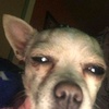 Profile Picture of 𝖁𝖎𝖓𝖓𝖊 𝖍𝖆𝖈𝖐𝖊𝖗 (@@marisolramirez_69) on Tiktok
