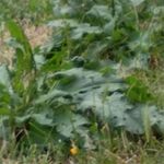 Profile Picture of David Jurský (@davidjursky) on Instagram