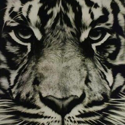 Profile Picture of Sandra Kitzig (@sandrakitzig) on Twitter