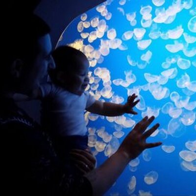 Profile Picture of Christopher Resendiz (@ChrisResendiz22) on Twitter