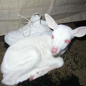 Profile Picture of Justin Hlebichuk (@402144390) on Myspace