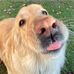 Profile Picture of Gábor Fodor (@gabor.fodor.90410) on Facebook