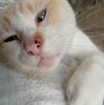 Profile Picture of Llarely Velazquez (@llarely.velazquez.2025) on Facebook