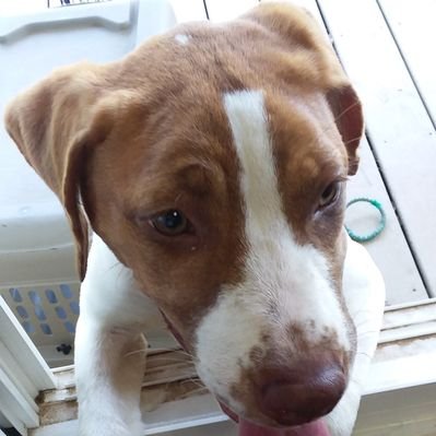 Profile Picture of Larry Roche (@larryroche03) on Twitter