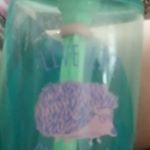 Profile Picture of Jeff Mulder (@jeff.mulder.376) on Instagram