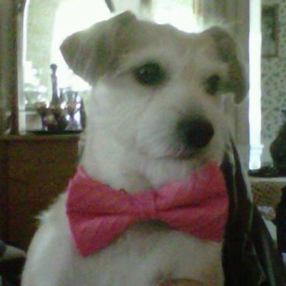 Profile Picture of Dennis Shibley (@dennisshibley) on Poshmark