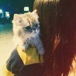 Profile Picture of Bora Kim (@joyful_bb) on Instagram