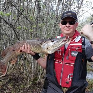 Profile Picture of Erik Andreassen (@ErikAndreassen5) on Twitter