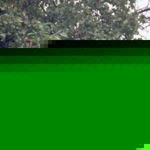 Profile Picture of Kyle Jolliff (@409191806) on Myspace