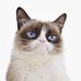 Profile Picture of Bart Schneider (@bart.schneider.12327) on Facebook