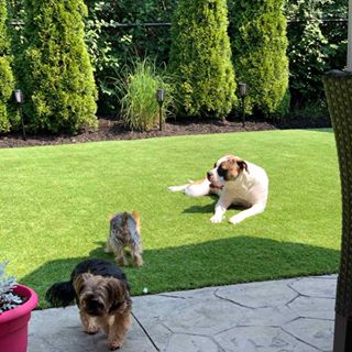 Profile Picture of David Saele (@david.saele.1) on Facebook