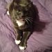 Profile Picture of Joanne St. Laurent (@joannecarey9693) on Pinterest
