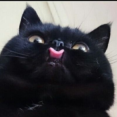 Profile Picture of WhateverBaby (@AndyPatrickUrie) on Twitter