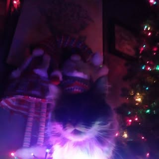 Profile Picture of Stm Dav (@stumdavid) on Instagram