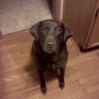 Profile Picture of Steve Klose (@Sklose9898) on Twitter