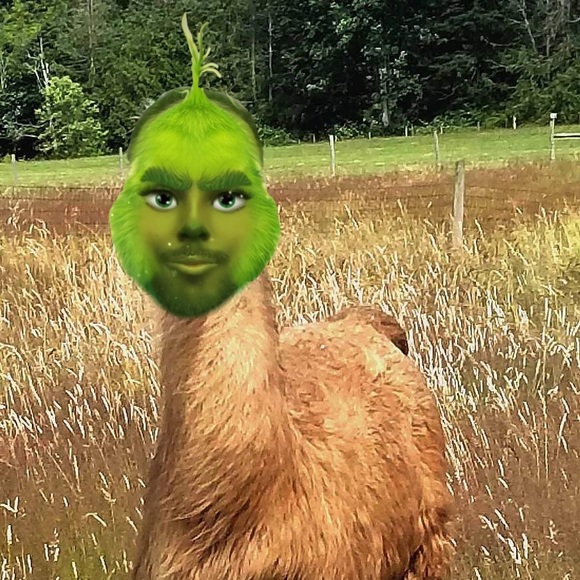 Profile Picture of Michaela Manning (@michaelamann725) on Poshmark