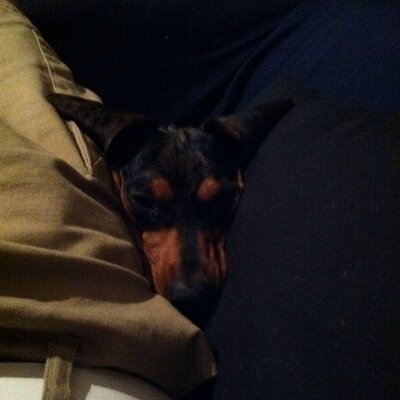 Profile Picture of Brent Kerr (@KerrbrenT) on Twitter