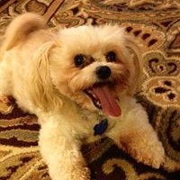 Profile Picture of Timothy Sanchez (@timothy-sanchez-4) on Quora