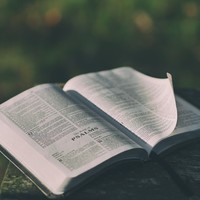 Profile Picture of Jason Cueva (@jason-cueva-1) on Quora