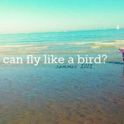 Profile Picture of Febe Demaiter (@FebeDemaiter) on Twitter