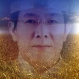 Profile Picture of Peter Lim (@DharmaPeter) on Twitter