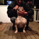 Profile Picture of Cam Liu (@cliu20) on Instagram