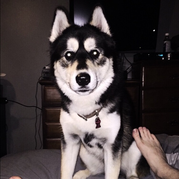 Profile Picture of Jacob Liseno (@jacobliseno) on Poshmark