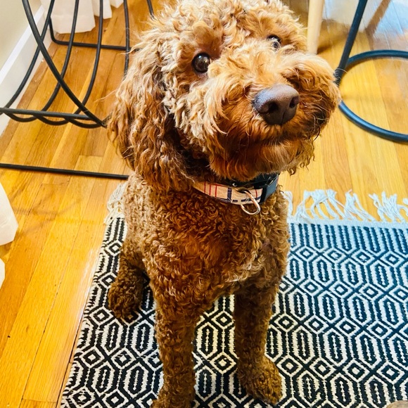 Profile Picture of Sara Conway (@saraconway250) on Poshmark