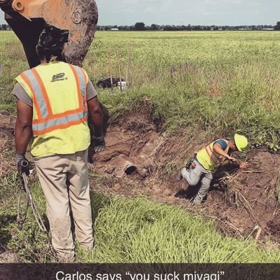 Profile Picture of Blue Collar (@mitch_ferguson) on Twitter