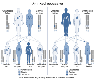 Profile Picture of Haemophilia Bon Wikipedia