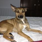Profile Picture of Alice Gimeno Prieto (@aligipri) on Instagram